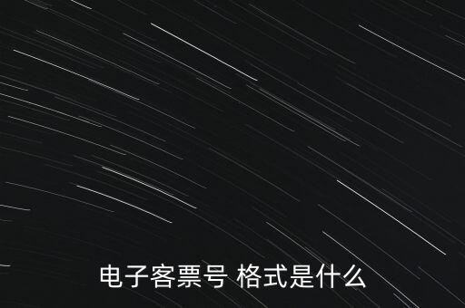 電子客票號(hào) 格式是什么