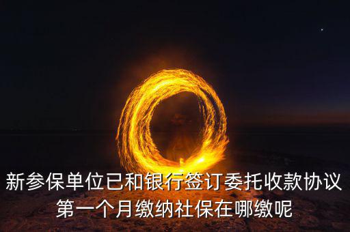 什么時候辦理授權(quán)劃繳協(xié)議，如何取得委托銀行劃轉(zhuǎn)地方稅費授權(quán)書協(xié)議書去銀行還是去地稅