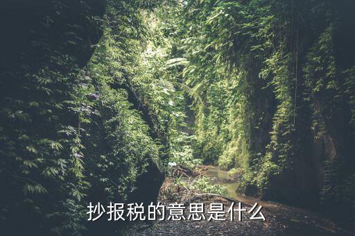 抄報(bào)稅的意思是什么