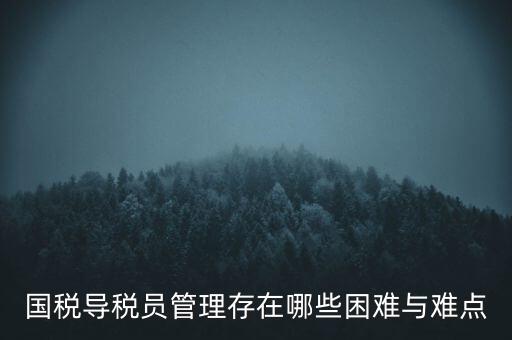 國(guó)稅導(dǎo)稅員管理存在哪些困難與難點(diǎn)