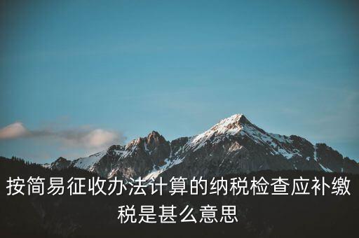 簡易征收什么意思，按簡易征收辦法計算的納稅檢查應(yīng)補繳稅是甚么意思