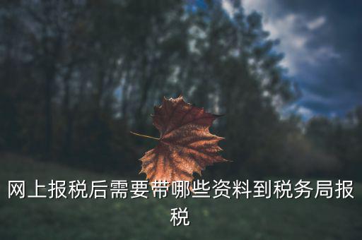 網(wǎng)上報(bào)稅需要什么資料，網(wǎng)上報(bào)稅后需要帶哪些資料到稅務(wù)局報(bào)稅