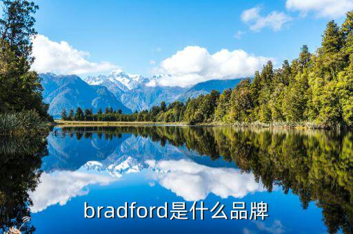 丁稅寶是什么，bradford是什么品牌