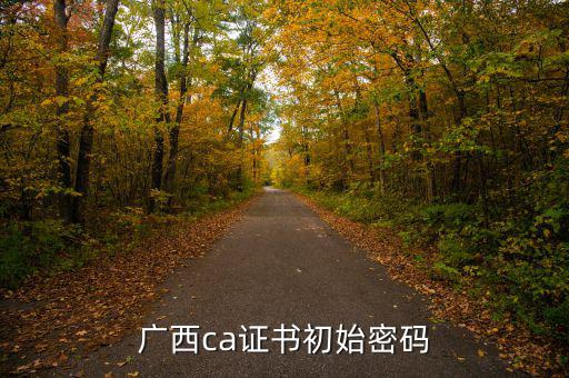 國說ca證書密碼是什么，ca證書密碼是什么