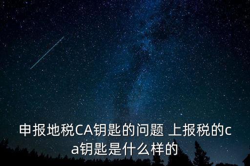 ca鑰匙是什么，申報(bào)地稅CA鑰匙的問(wèn)題 上報(bào)稅的ca鑰匙是什么樣的