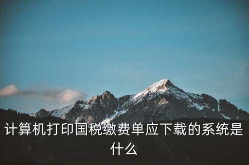 計算機(jī)打印國稅繳費(fèi)單應(yīng)下載的系統(tǒng)是什么