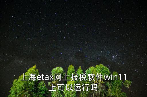 上海etax網(wǎng)上報稅軟件win11上可以運行嗎