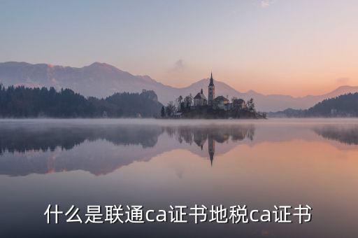 什么是地稅ca證書，社保CA地稅CA