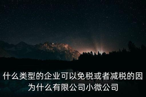 什么類型的企業(yè)可以免稅或者減稅的因為什么有限公司小微公司