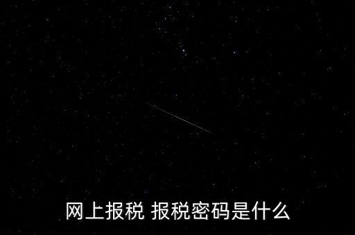 網上報稅 報稅密碼是什么