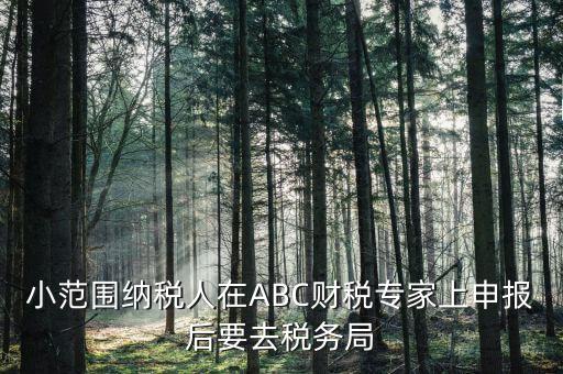 小范圍納稅人在ABC財稅專家上申報后要去稅務局