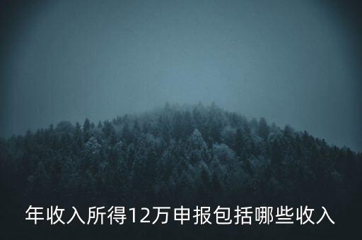 十二萬申報是什么，12萬個稅申報有什么用