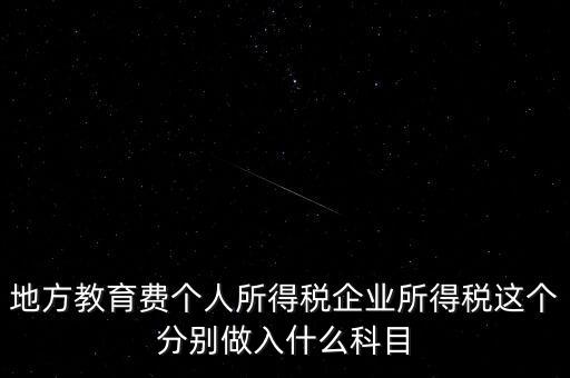 地方教育費(fèi)個(gè)人所得稅企業(yè)所得稅這個(gè)分別做入什么科目