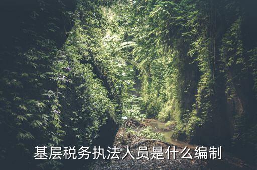 基層稅收執(zhí)法干什么的，基層稅務(wù)執(zhí)法人員是什么編制