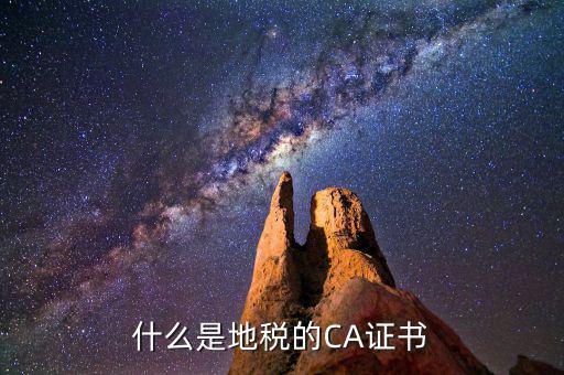 地稅ca棒是什么，什么是地稅的CA證書