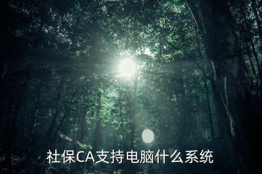 社保CA支持電腦什么系統(tǒng)