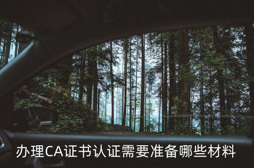 升級(jí)ca需要什么情況，中國銀行個(gè)人網(wǎng)銀中銀E盾CA證書更新操作步驟是什么