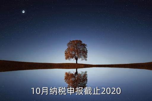 10月申報(bào)期到什么時(shí)候，2021年十月份報(bào)稅期延遲到幾號(hào)