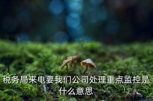 稅務(wù)局來電要我們公司處理重點(diǎn)監(jiān)控是什么意思