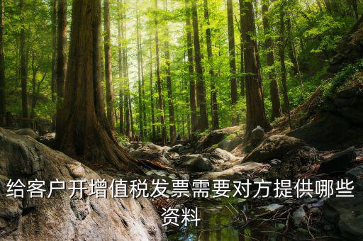 給客戶開(kāi)增值稅發(fā)票需要對(duì)方提供哪些資料