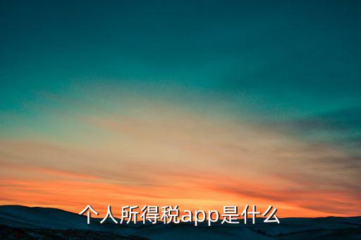 網(wǎng)上交稅要下載什么東西，個人所得稅官網(wǎng)登錄企業(yè)個人所得稅要下載什么端口申報