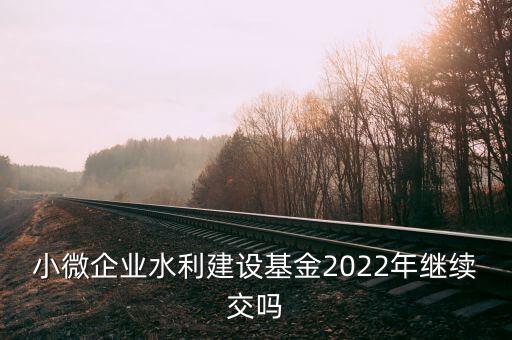 小微企業(yè)水利建設(shè)基金2022年繼續(xù)交嗎