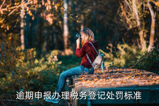 逾期申報辦理稅務(wù)登記處罰標(biāo)準(zhǔn)