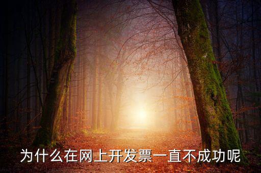 為什么在網(wǎng)上開發(fā)票一直不成功呢