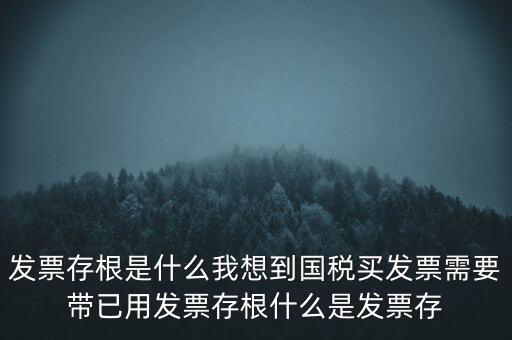 發(fā)票電子存根是什么，發(fā)票存根是什么