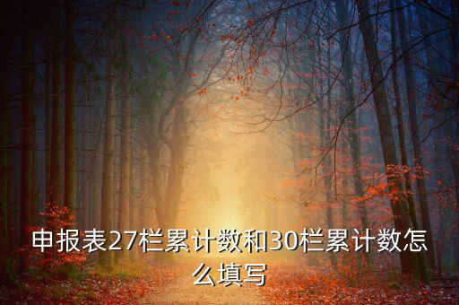 什么是期初未繳稅額，申報表27欄累計數(shù)和30欄累計數(shù)怎么填寫