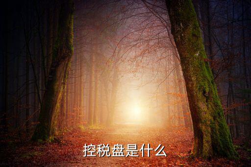 稅控盤是什么，稅控發(fā)票開票軟件 和金稅盤是什么意思