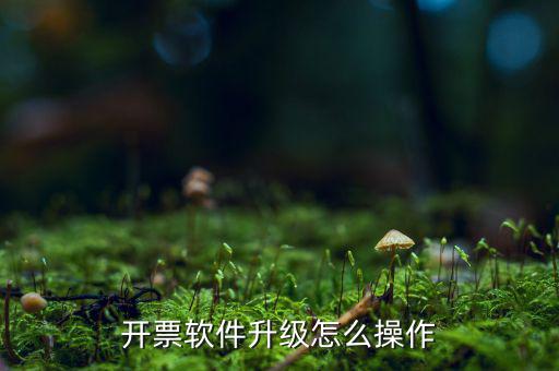 發(fā)票升級(jí)最新版本是什么原因，稅務(wù)升版是什么意思