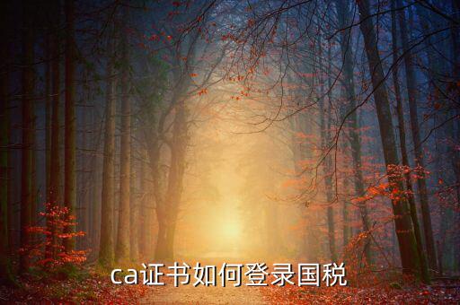 國稅登錄如何用ca登錄密碼是什么意思，國稅第一次網(wǎng)上申報的登陸密碼是什么