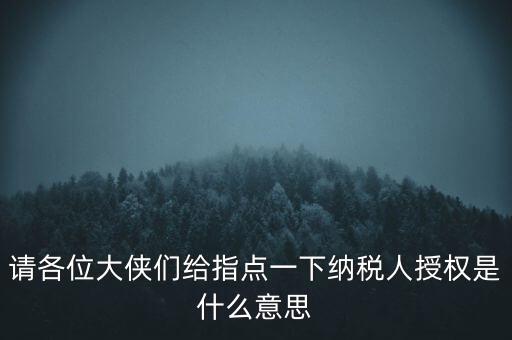 納稅人獲得感是什么意思，請(qǐng)各位大俠們給指點(diǎn)一下納稅人授權(quán)是什么意思