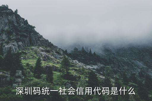 深圳碼統(tǒng)一社會(huì)信用代碼是什么