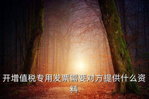 開(kāi)增值稅專用發(fā)票需要對(duì)方提供什么資料