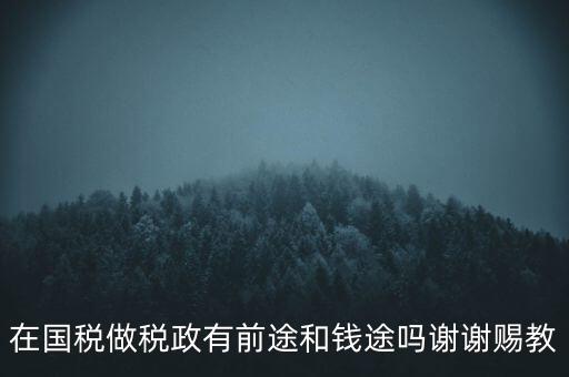 稅政處管什么，稅務局里的稅政科和征管科都有哪些功能