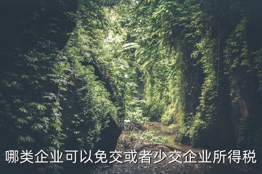 什么情況下企業(yè)可以減免稅收，哪類(lèi)企業(yè)可以免交或者少交企業(yè)所得稅