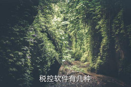 控稅軟件針對(duì)什么，稅控軟件有幾種