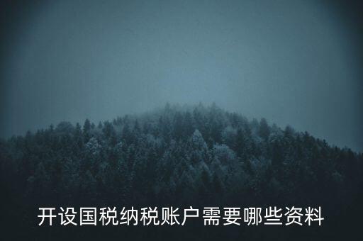 開國稅都需要帶什么資料，開設(shè)國稅納稅賬戶需要哪些資料