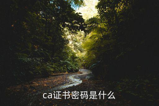 什么是國稅ca密碼是什么，ca證書密碼是什么