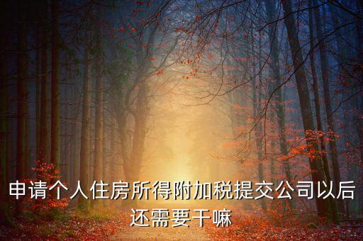 申請個人住房所得附加稅提交公司以后還需要干嘛