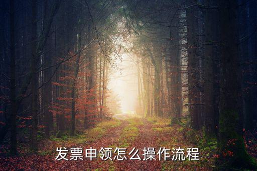 我想申請票種的流程是什么樣的，小規(guī)模申請專票的流程是什么