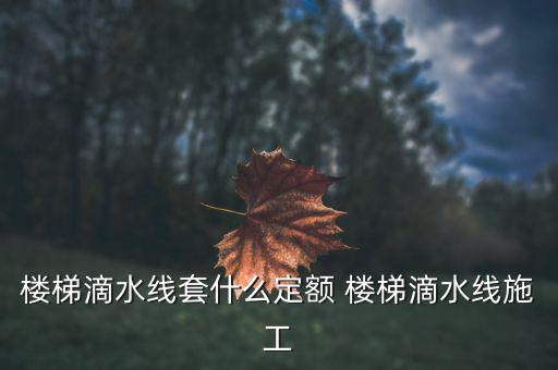 江蘇滴水套什么定額，滴水線套什么定額