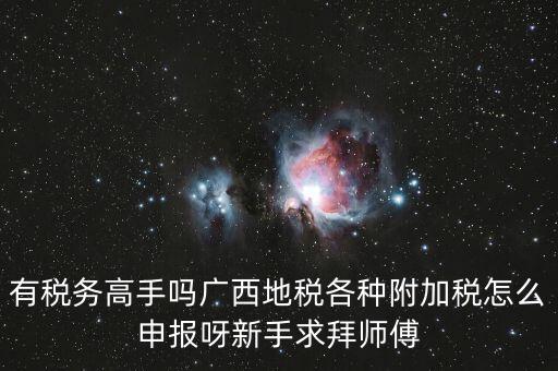 廣西地稅每個月要申報什么內容，有稅務高手嗎廣西地稅各種附加稅怎么申報呀新手求拜師傅