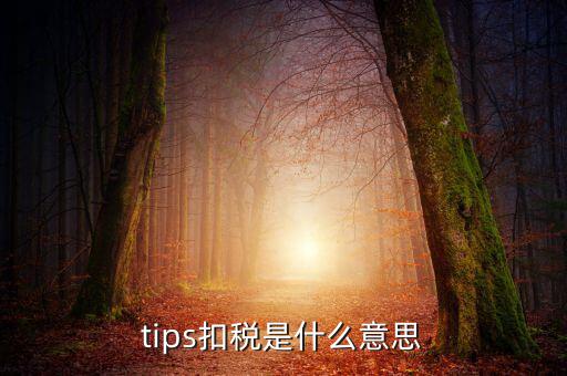 國稅tips系統(tǒng)指什么意思，電子對賬單上摘要一欄寫有tips是什么意思