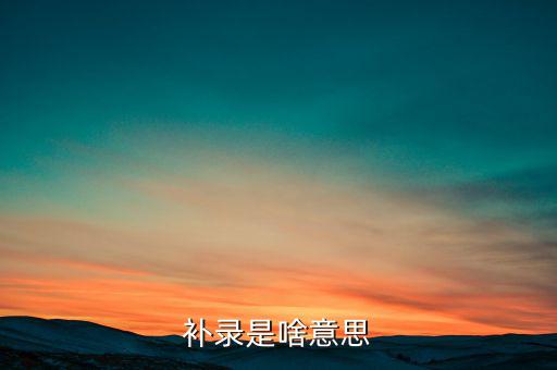 發(fā)票補(bǔ)錄是什么意思，補(bǔ)錄是什么意思