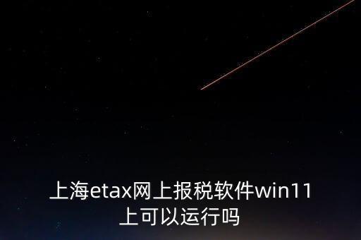 上海網(wǎng)上報(bào)稅什么軟件，上海etax網(wǎng)上報(bào)稅軟件win11上可以運(yùn)行嗎