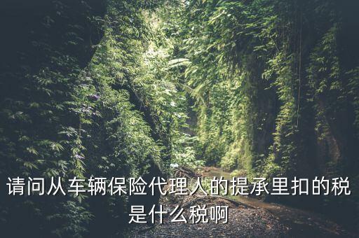 請(qǐng)問從車輛保險(xiǎn)代理人的提承里扣的稅是什么稅啊