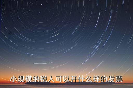 小規(guī)模納稅人可以開(kāi)什么樣的發(fā)票